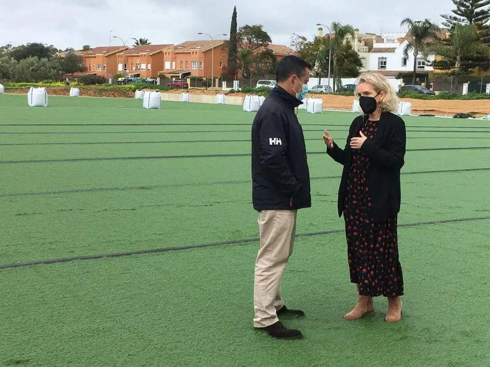 campo de c&eacute;sped de el &aacute;guila. - viva