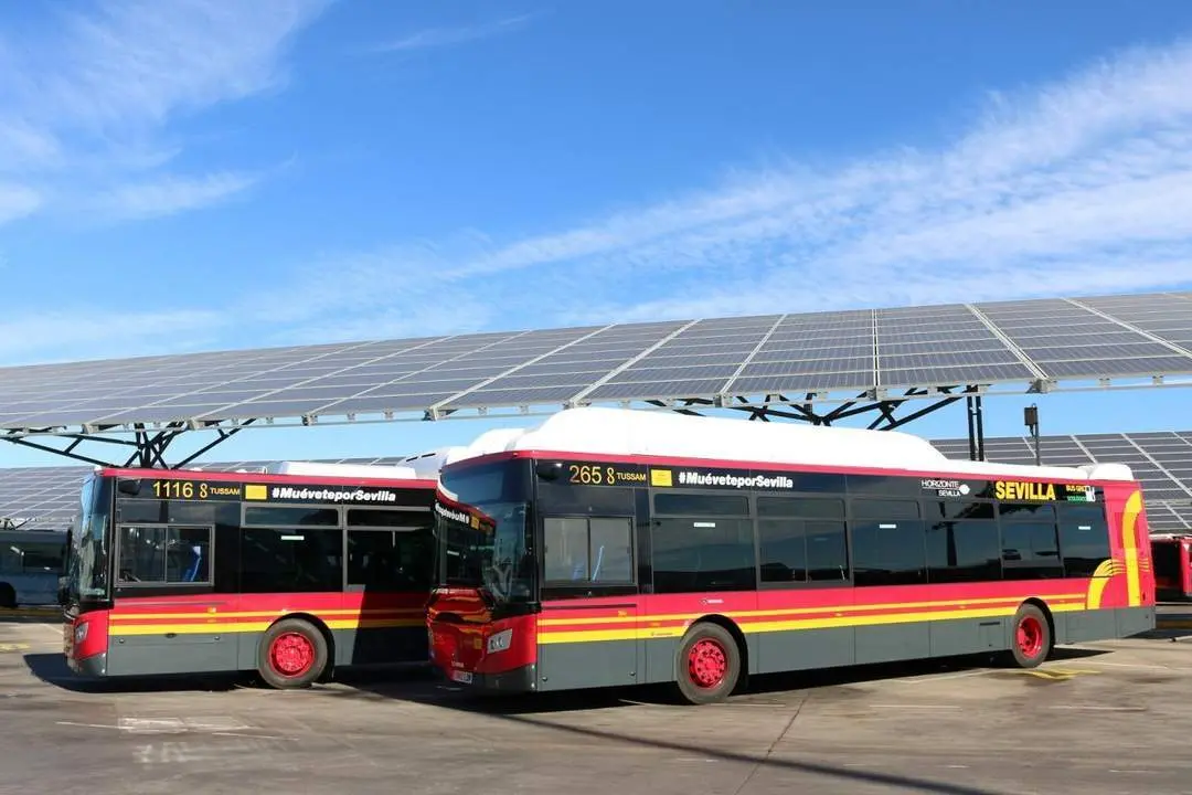 Autobuses de Tussam. - Ep