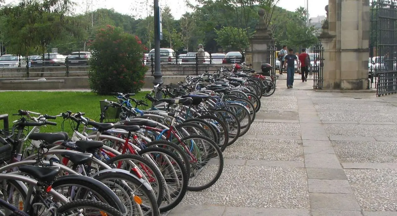 Uno de los campus de la Universidad de Sevilla.  - US