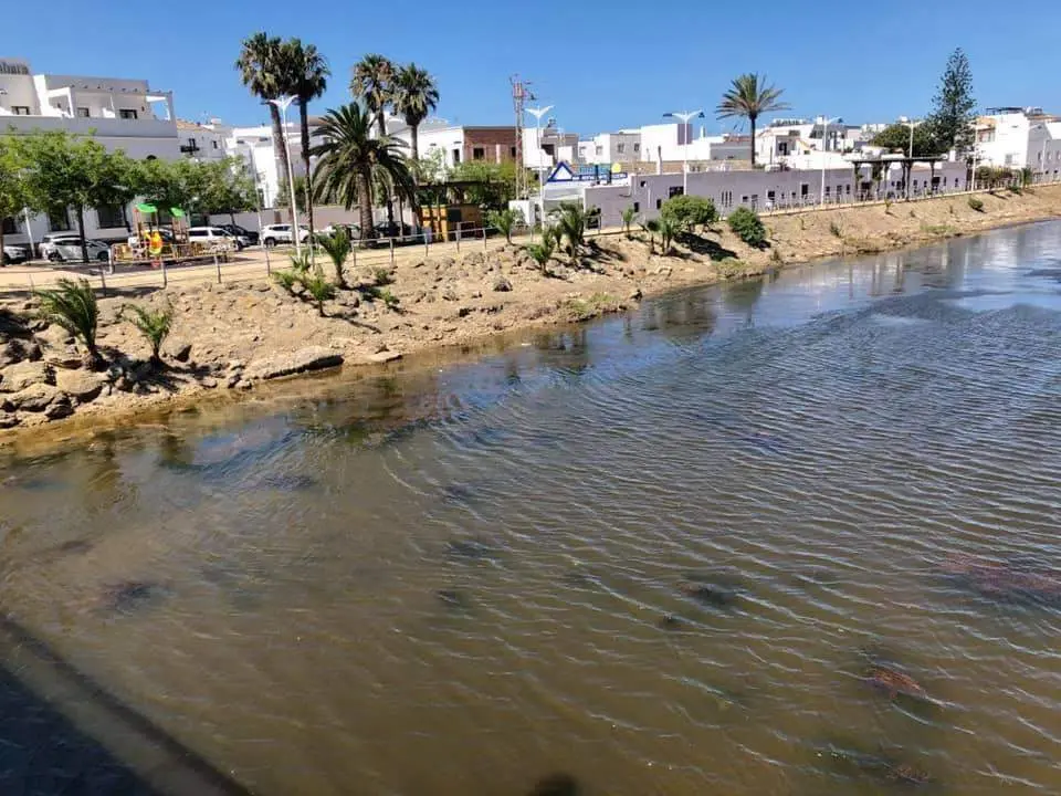 R&iacute;o Cach&oacute;n de Zahara de los Atunes. - A.I.