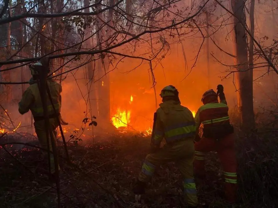 Incendio forestal en Cantabria. - Europa Press