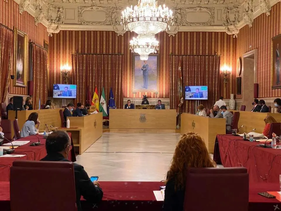 Pleno del Ayuntamiento de Sevilla. - Rodrigo Gonz&aacute;lez