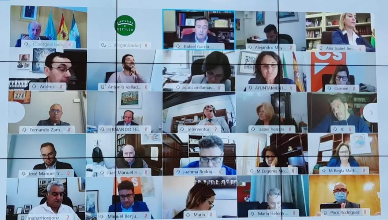Pleno de la Diputaci&oacute;n telem&aacute;tico. - EP