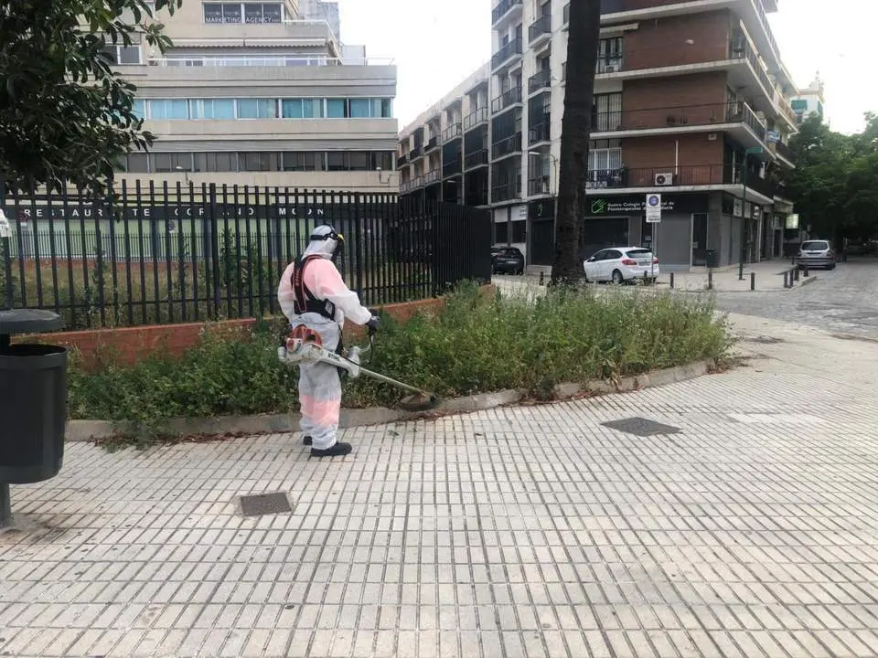 Operario realizando tareas de desbroce. - AYto