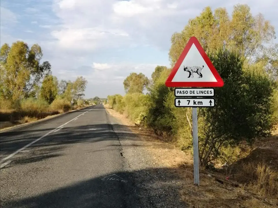 Carretera Dehesa de Abajo. - EP