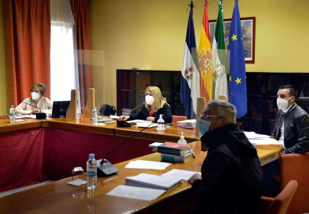 Mamen S&aacute;nchez, presidiendo un Pleno telem&aacute;tico.  - Andaluc&iacute;a Informaci&oacute;n