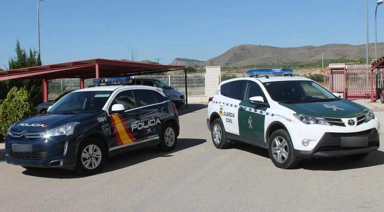 Coche de Polic&iacute;a Nacional y de Guardia Civil. - Europa Press
