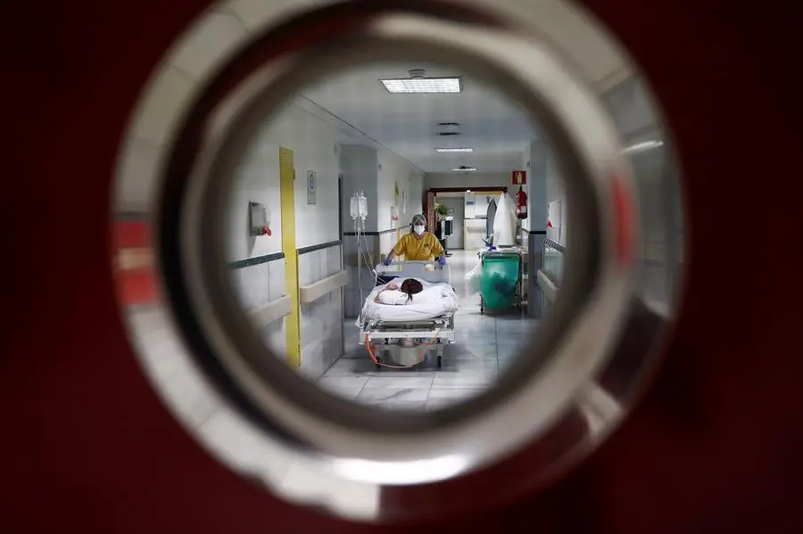 Un a&ntilde;o marcado por el coronavirus. - EFE