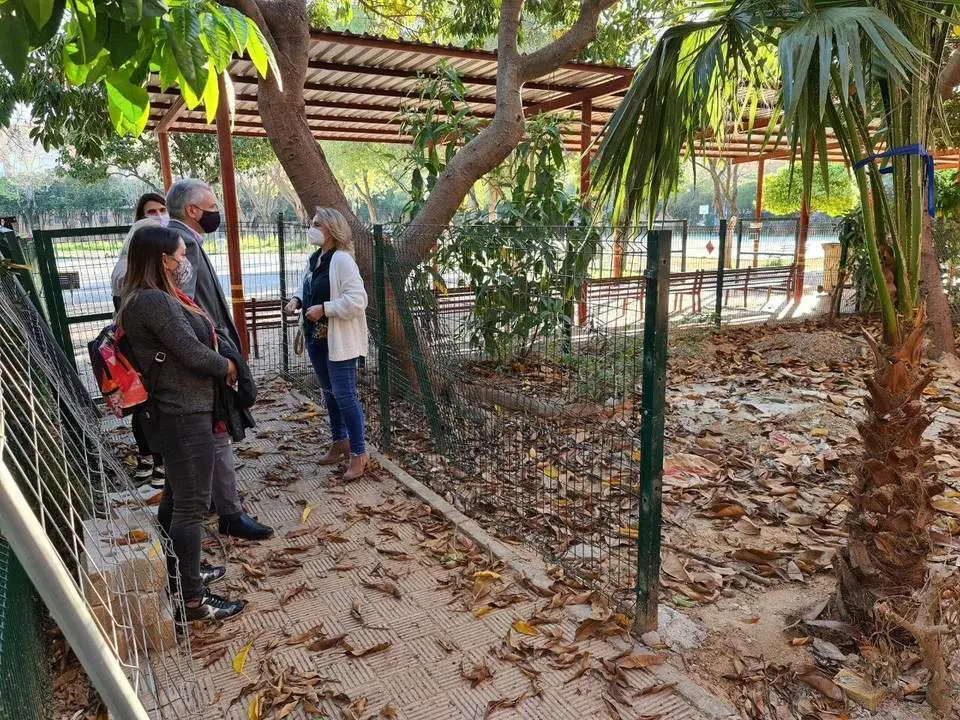 Colegio Pablo Ruiz Picasso de Pino Montano. - ADELANTE