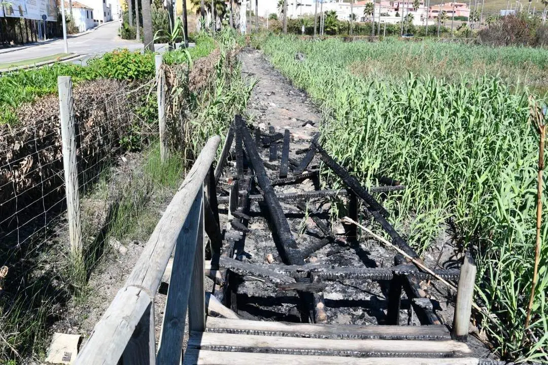 Pasarela de la Laguna de Torreguadiaro. - AI