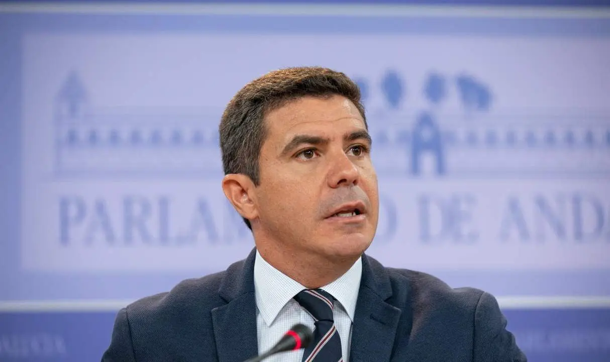 Portavoz Parlamentario De Ciudadanos (Cs), Sergio Romero. - EP