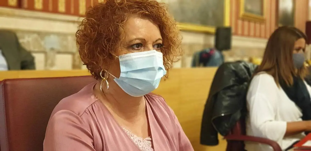 Adela Casta&ntilde;o en el Pleno municipal. - PSOE