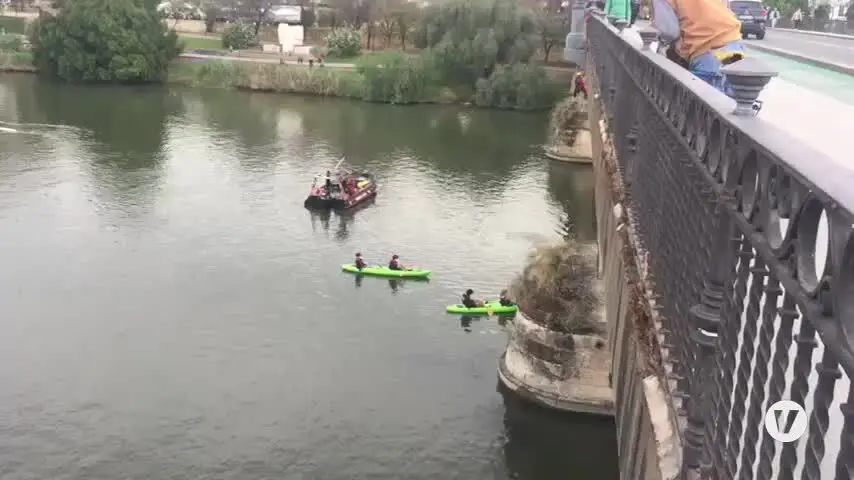 Greenpeace descuelga una pancarta en el puente de Triana para exigir el Plan Respira