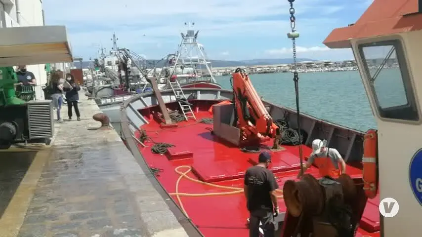 Los primeros atunes rojos de almadraba de esta temporada llegan al puerto de Barbate