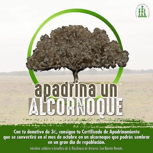 Apadrina un Alcornoque en Los Barrios. - AI