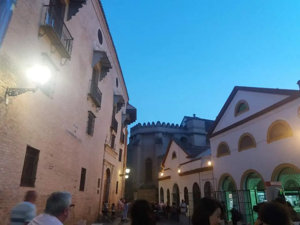 Palacio de los Marqueses de la Algaba, que acoger&aacute; la muestra. - EP
