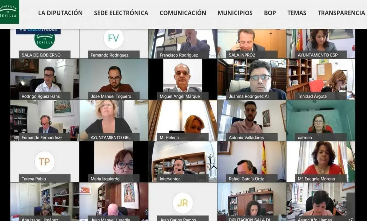 Pleno de la Diputaci&oacute;n telem&aacute;tico. - DIPUTACION