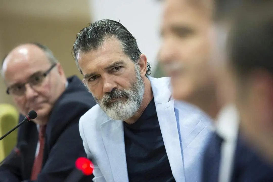 Banderas en un acto en M&aacute;laga - efe/daniel p&eacute;rez