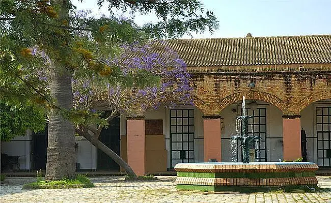 Patio de la Escuela Le&oacute;n Ortega. - VH