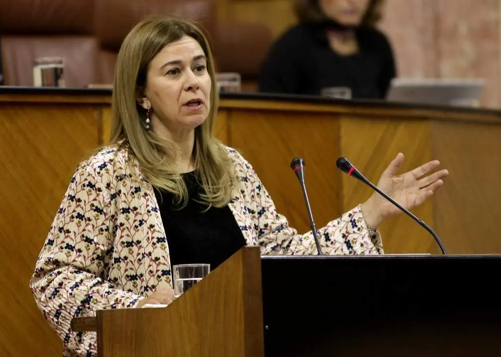La parlamentaria Teresa Ruiz Sillero. - A.I.