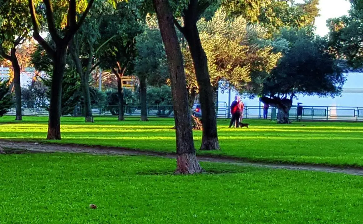 Parque del Vino Fino  - Viva