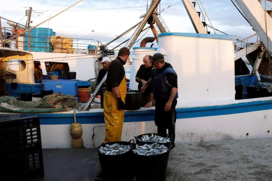 Unos pescadores concienciados. - EFE