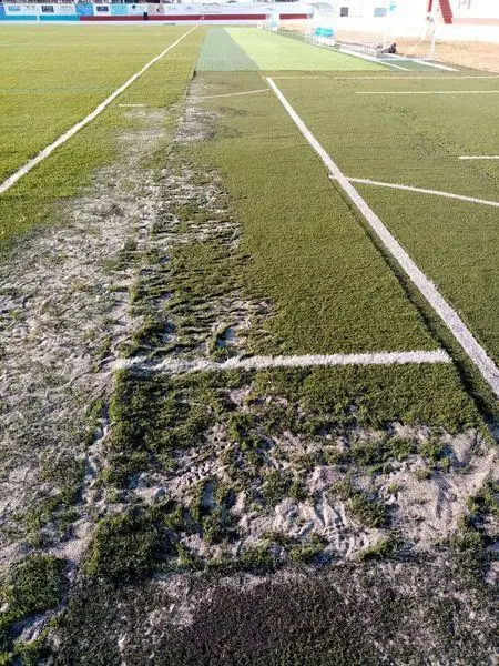 Imagen del c&eacute;sped del campo de f&uacute;tbol. - PSOE