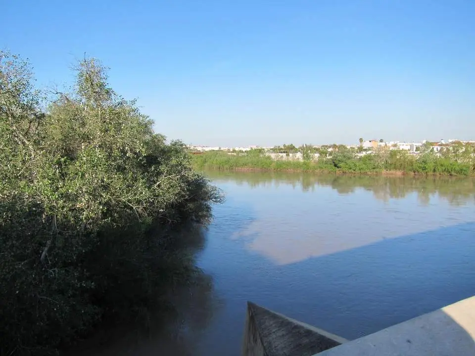 El r&iacute;o Guadalquivir a su paso por C&oacute;rdoba. - Europa Press