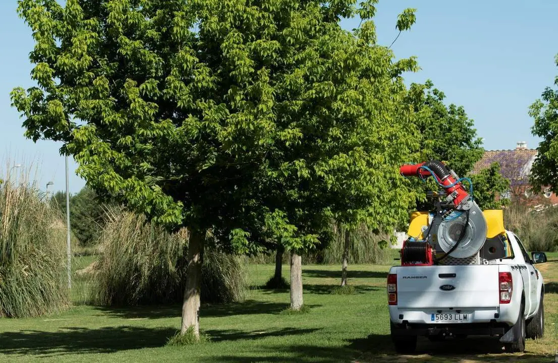 Las labores de fumigaci&oacute;n en Coria contra el mosquito del virus del Nilo. - Efe