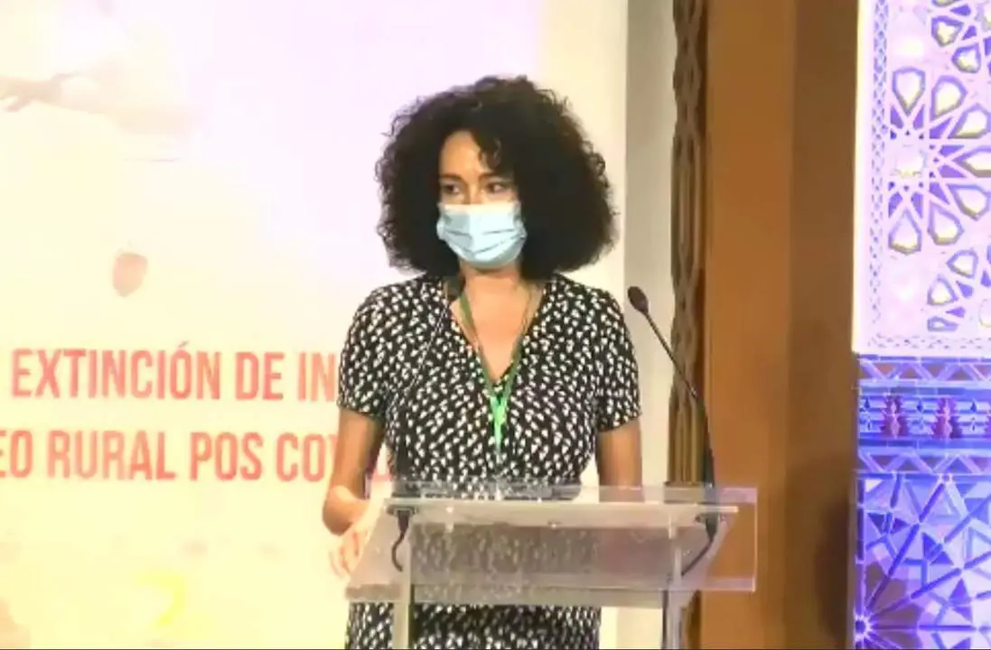 La vicepresidenta de Innovaci&oacute;n Local de la Diputaci&oacute;n, Lourdes Mart&iacute;n. - VH
