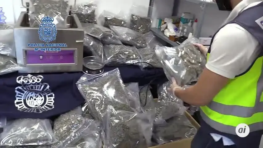 La Polic&iacute;a Nacional aborta un env&iacute;o de 100 kilos de cogollos de marihuana a Chipre
