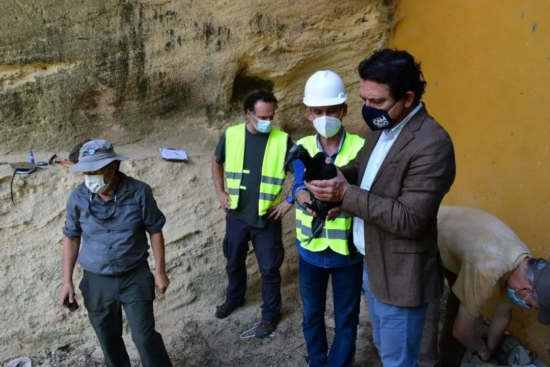 Anillamiento de pollos de ibis eremita. - Junta de Andaluc&iacute;a