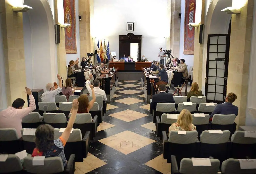 Una imagen del Pleno municipal.  - Andaluc&iacute;a Informaci&oacute;n