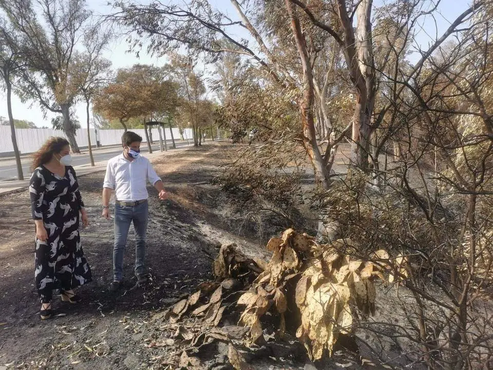Los ediles de Cs en la zona del incendio del Conquero. - VH