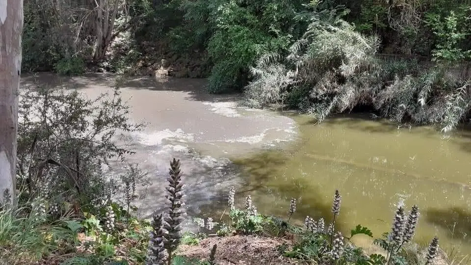 Vertido denunciado por la Plataforma del Guada&iacute;ra. - PLATAFORMA DEL GUADA&Iacute;RA