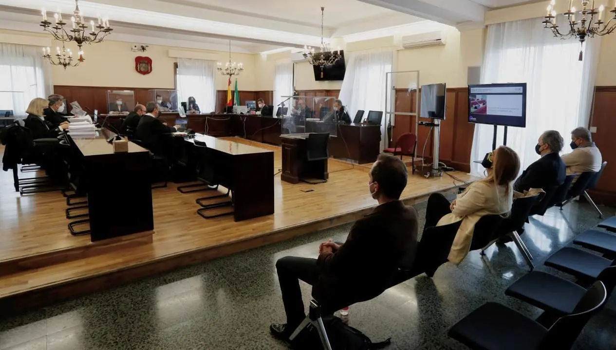 Juicio a Juana Mart&iacute;n por caso Invercaria. - EFE