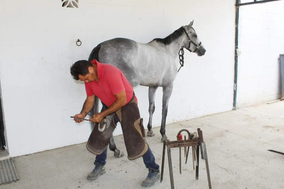 Un herrero poniendo a punto a un caballo este pasado viernes en Las Piletas - Ra&uacute;l J. Bustillos