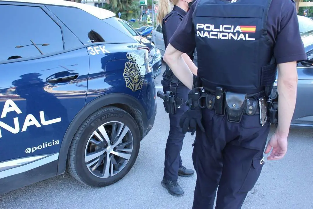 Imagen de archivo de una patrulla de la Polic&iacute;a Nacional.  - PN