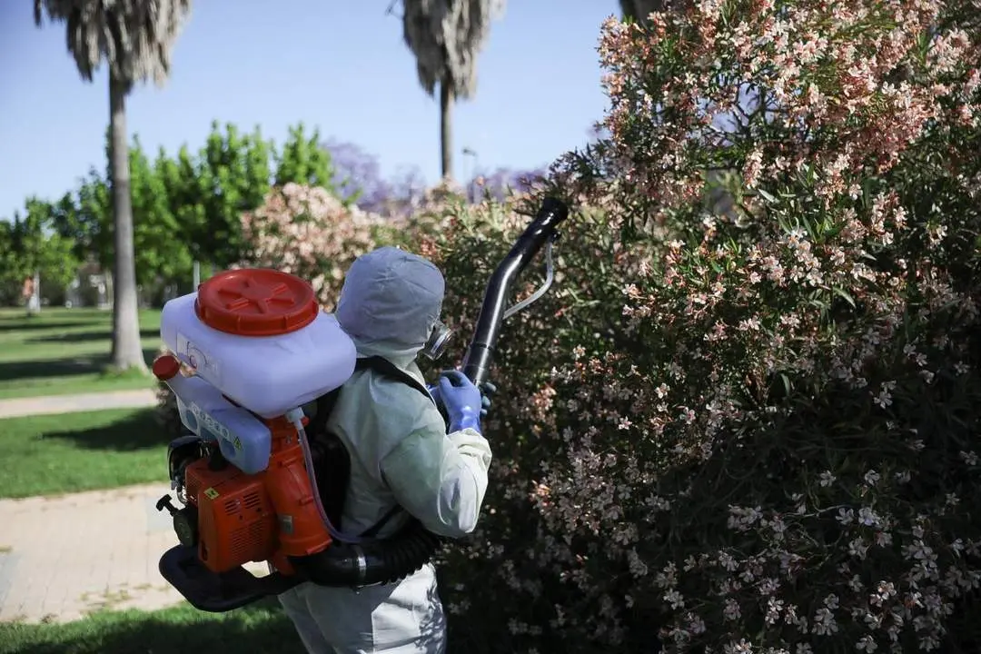 Fumigaci&oacute;n en Coria del R&iacute;o contra el mosquito que propaga el virus del Nilo. - EP