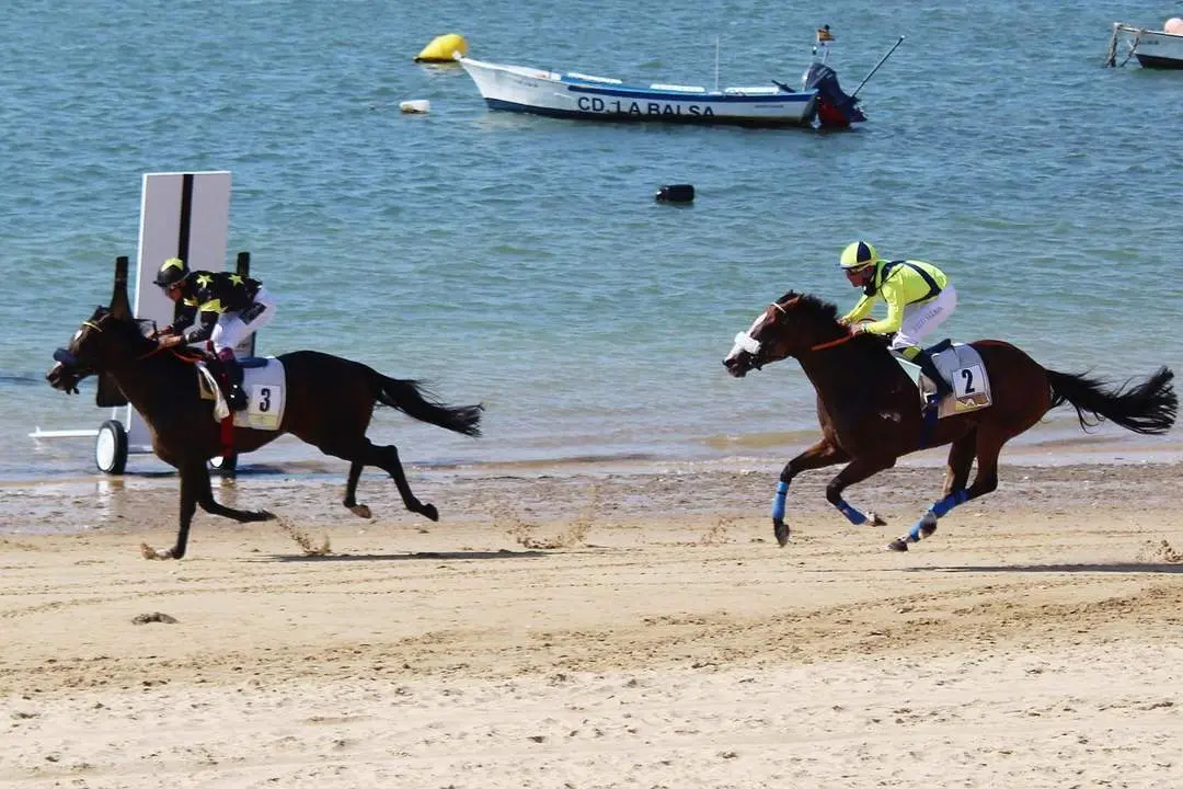 Ricardo Sousa se impone a Diego Sarabia en el Premio Hip&oacute;dromo de San Sebasti&aacute;n Carrus Gaming - Ra&uacute;l J. Bustillos