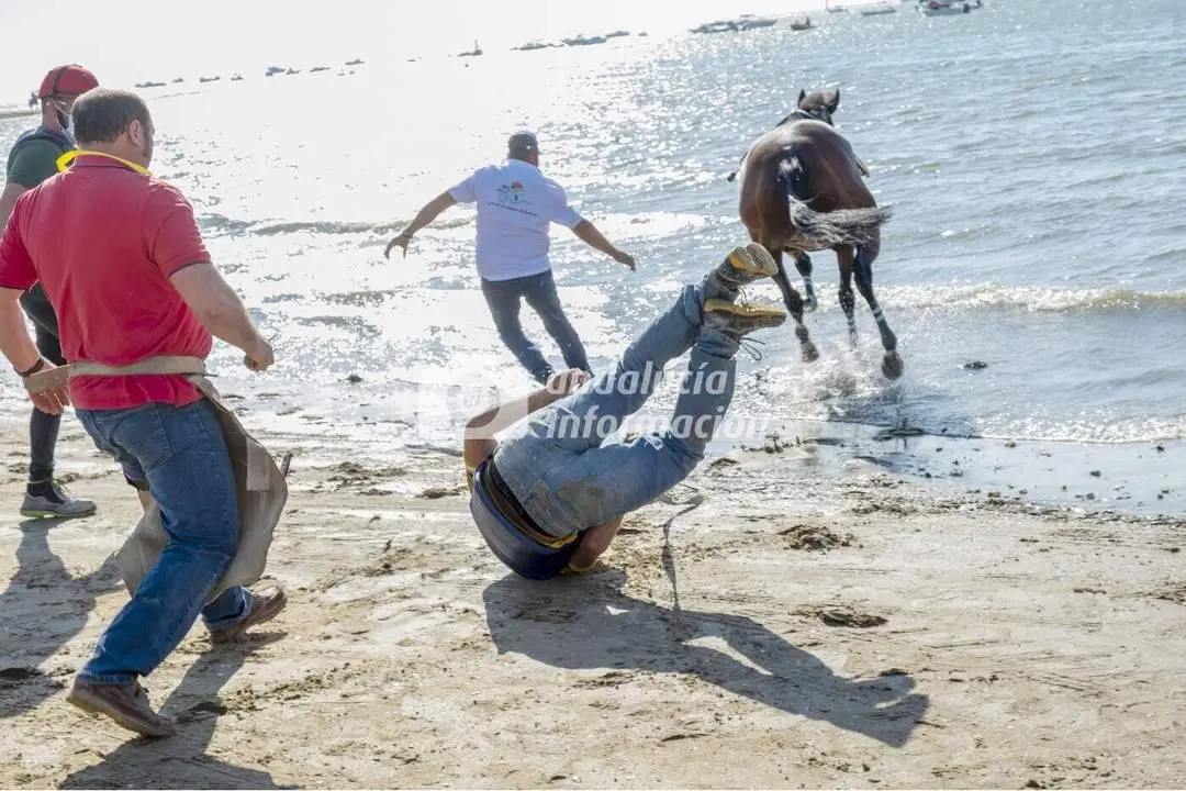Momento en el que el caballo Gormaz decide adentrarse en el agua - Antonio S&aacute;nchez Marcos