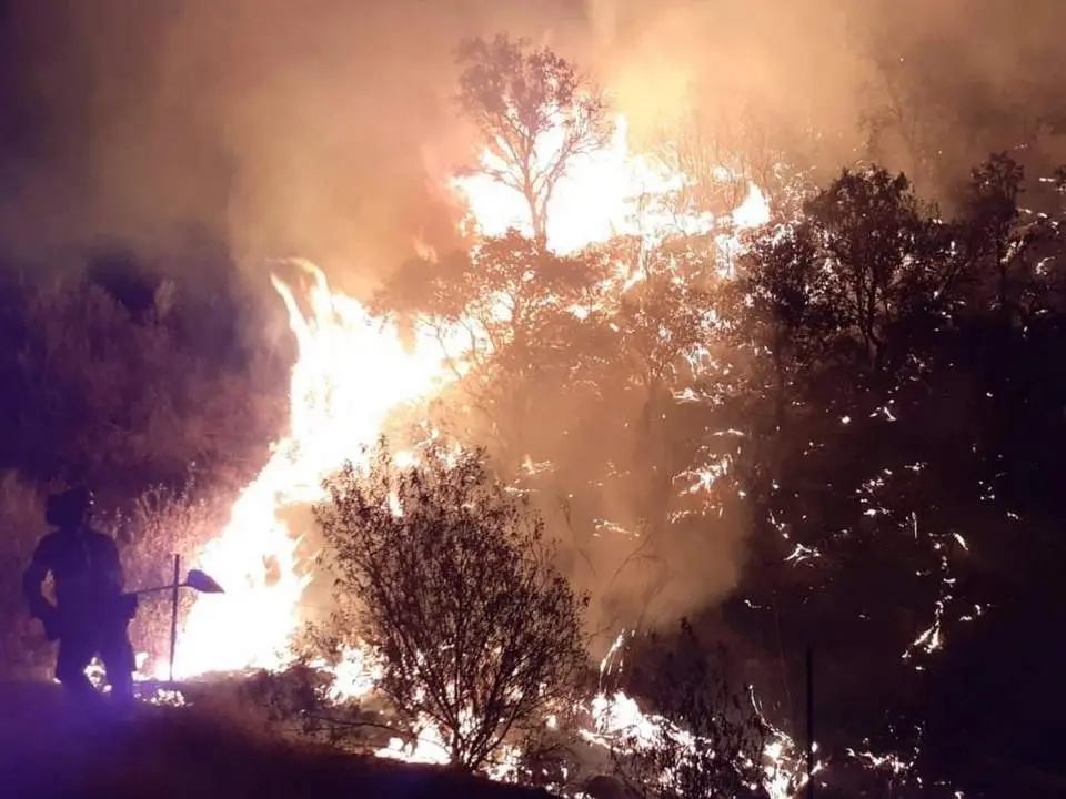 Imagen del incendio declarado en Villaharta (C&oacute;rdoba). - INFOCA