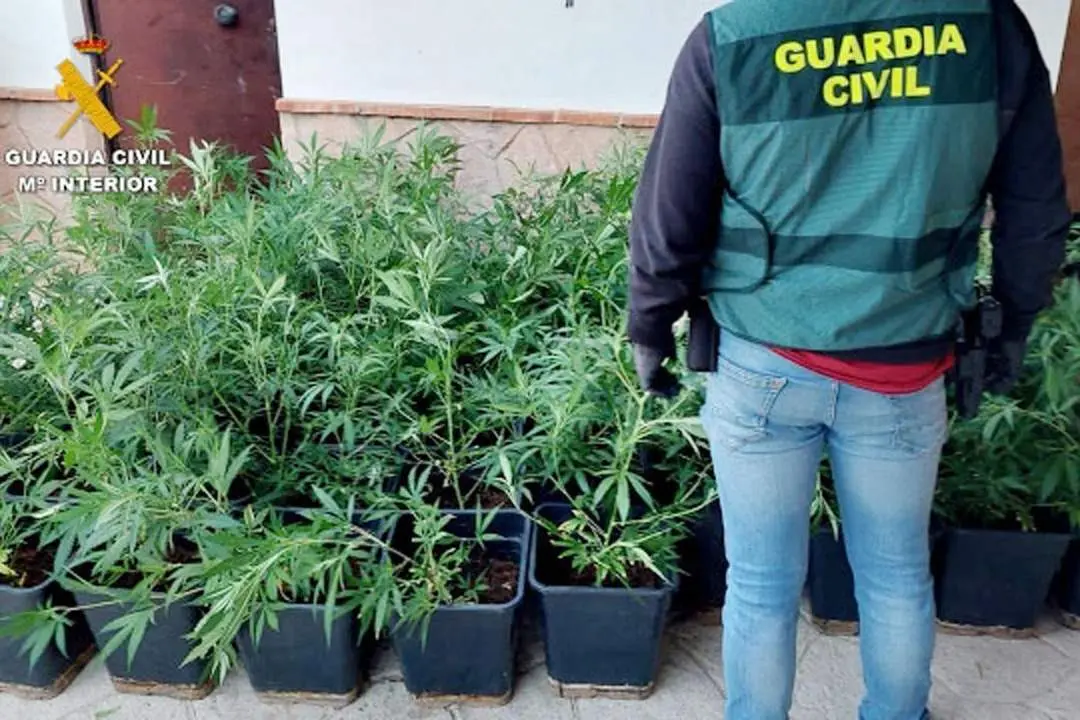 Material incautado por la Guardia Civil - GC