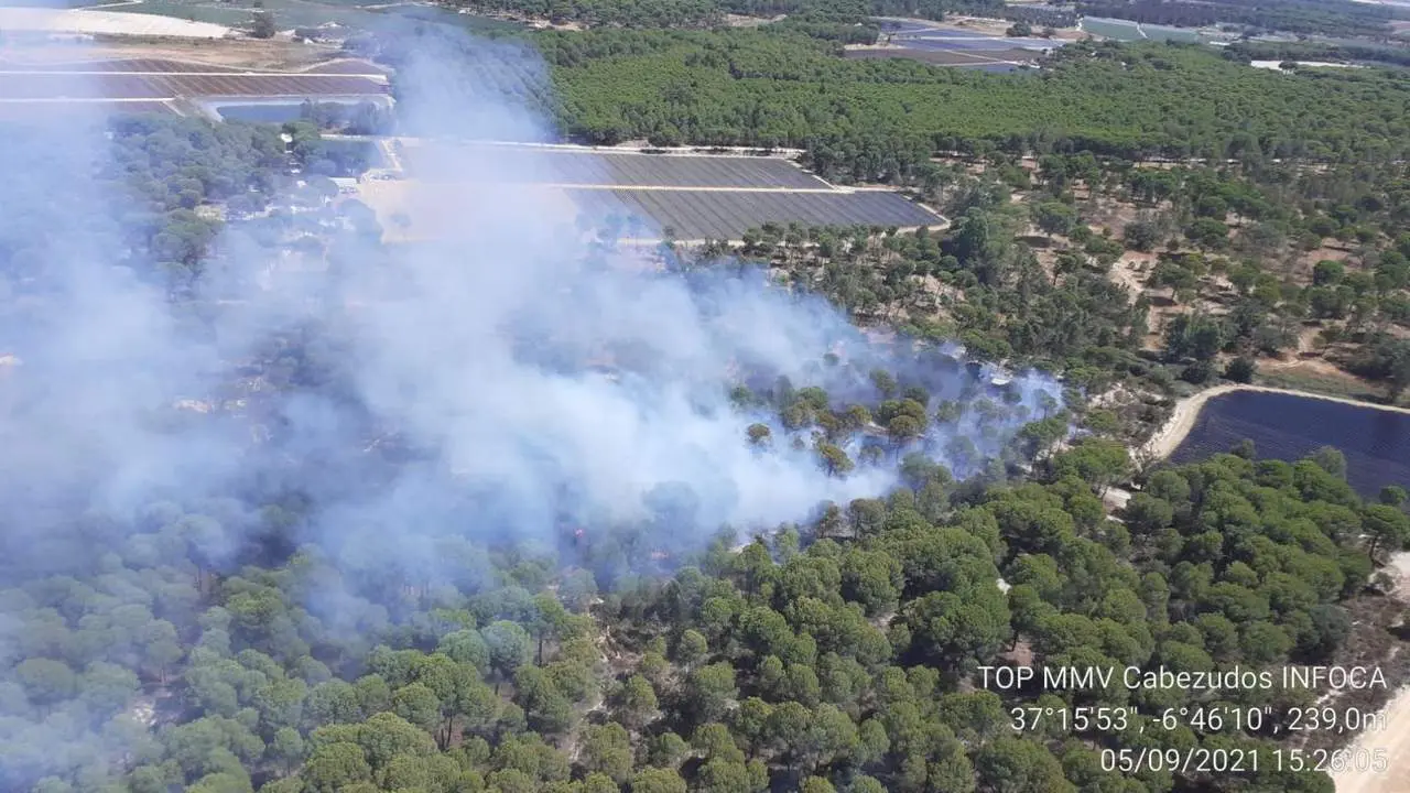Incendio de Moguer. - INFOCA