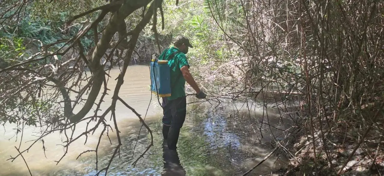 Trabajador fumigando. - Ayuntamiento