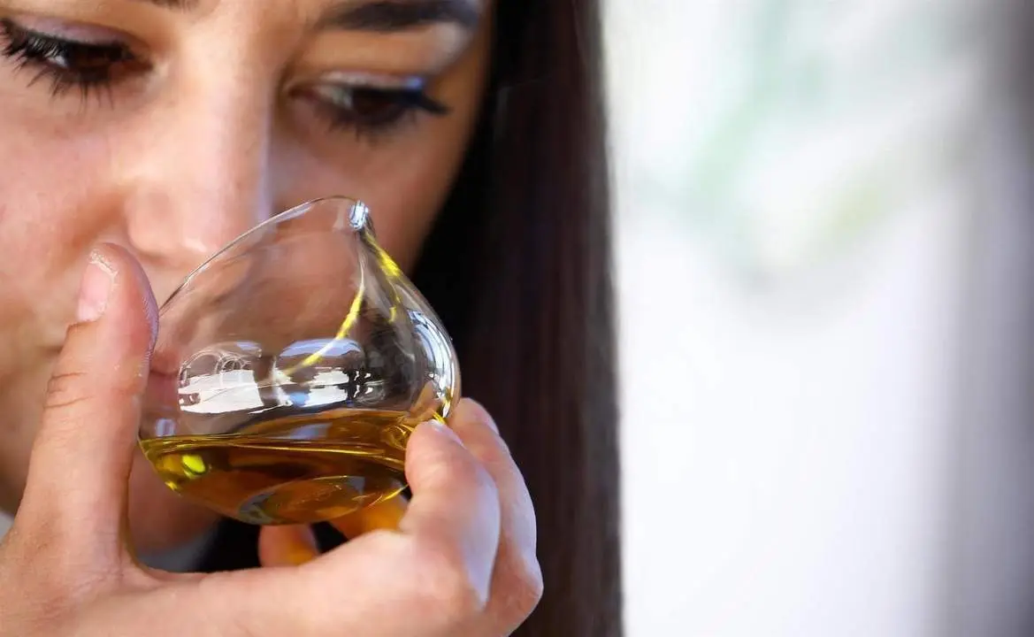 cata de aceite. - efe