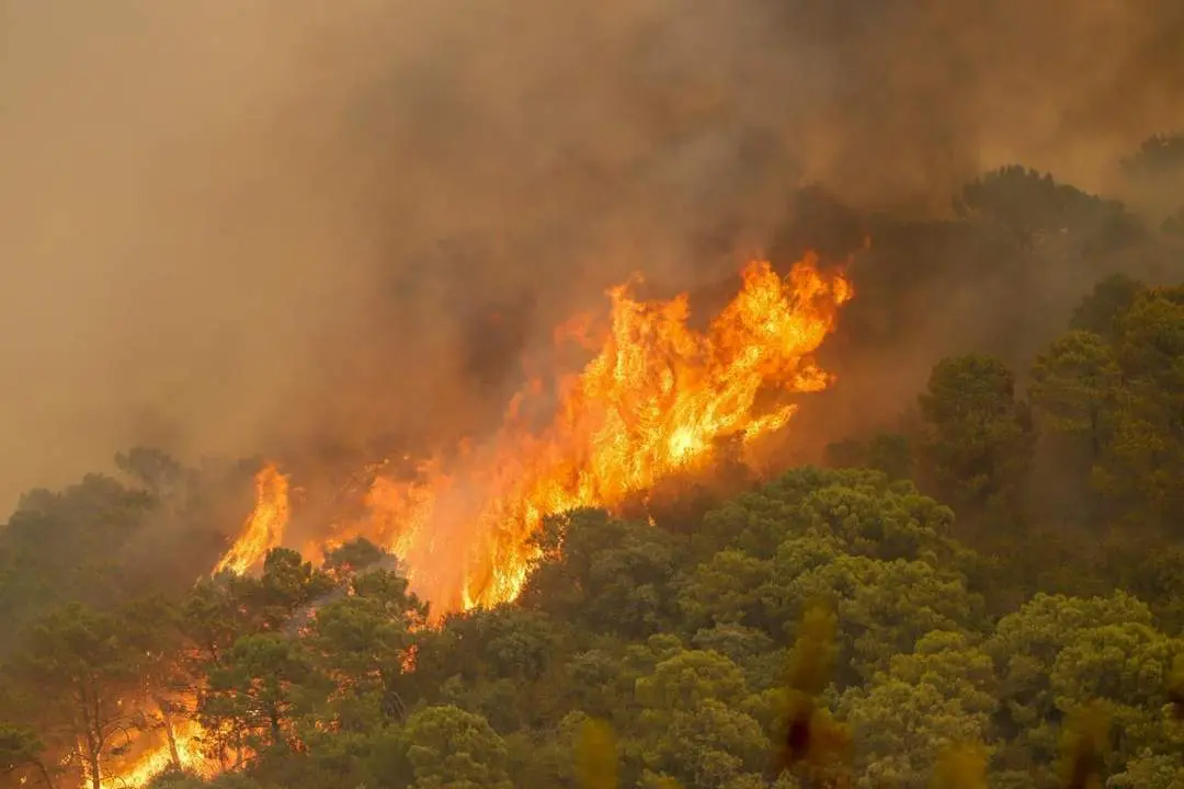 Incendio Sierra Bermeja. - Europa Press