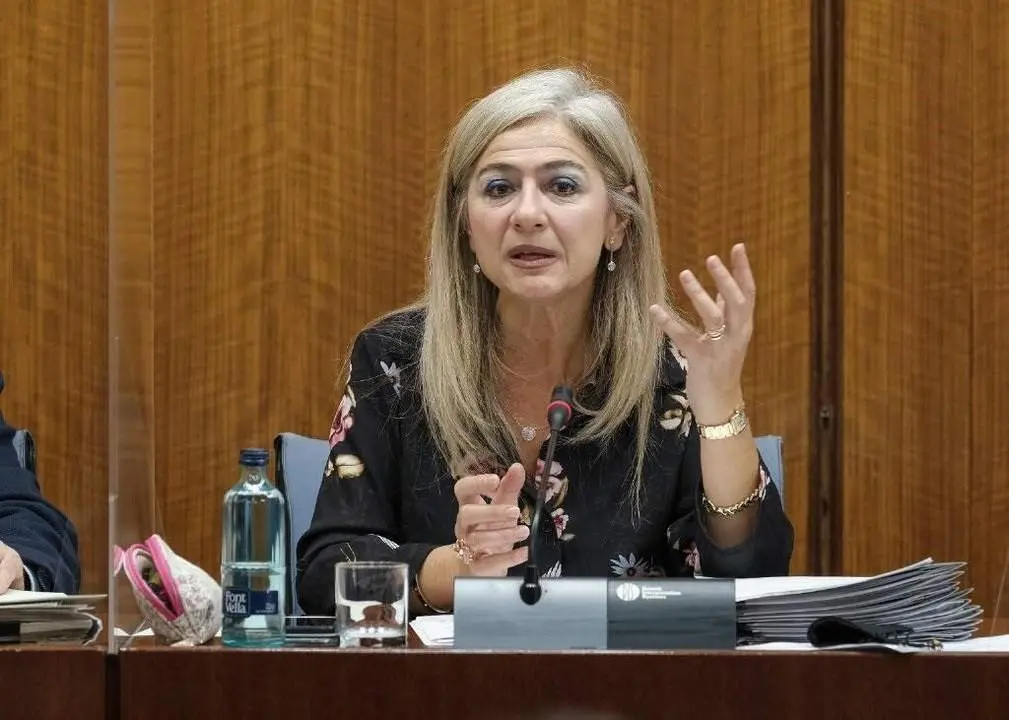 La consejera de Cultura y Patrimonio Hist&oacute;rico, Patricia del Pozo. - VH