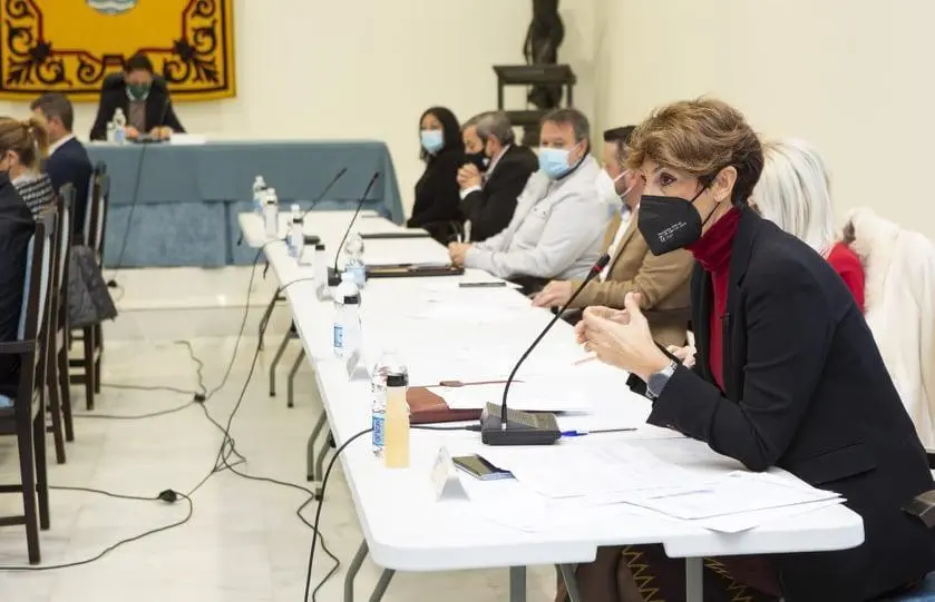 La portavoz del PSOE Estepona, Emma Molina. - PSOE Estepona