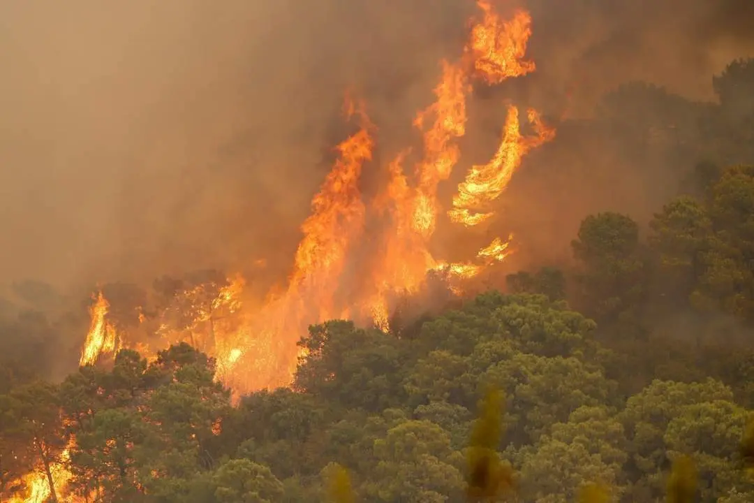 Incendio en Sierra Bermeja. - &Aacute;lex Zea/EP
